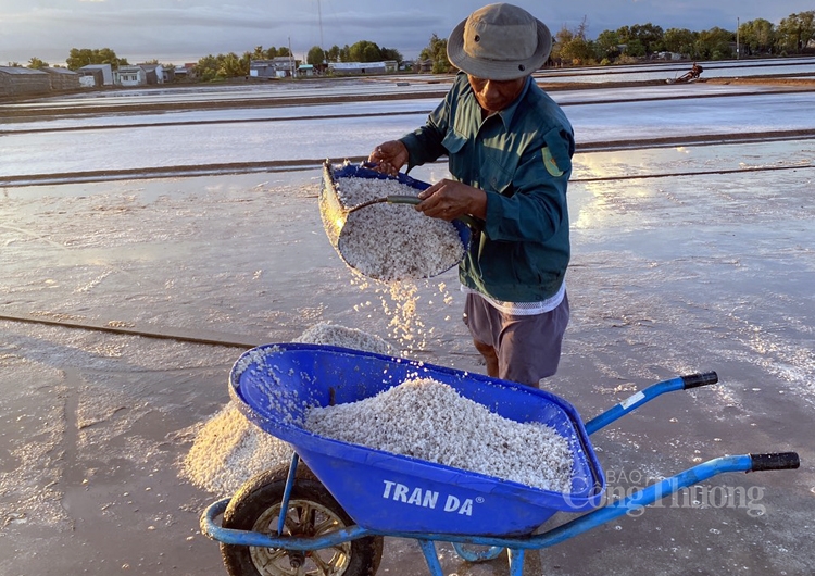 Diêm dân Bạc Liêu với hương vị muối hồng