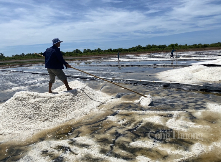 Diêm dân Bạc Liêu với hương vị muối hồng