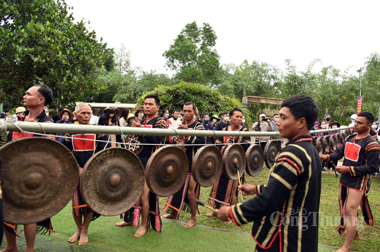 Lễ mừng lúa mới dân tộc Gia Rai