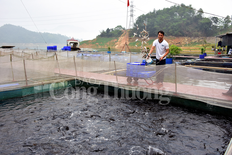 Khám phá trải nghiệm cùng lòng hồ Na Hang