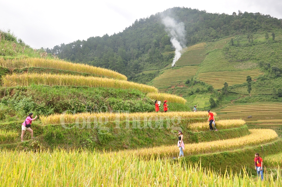 sac mau van hoa dan toc mong tai ha noi