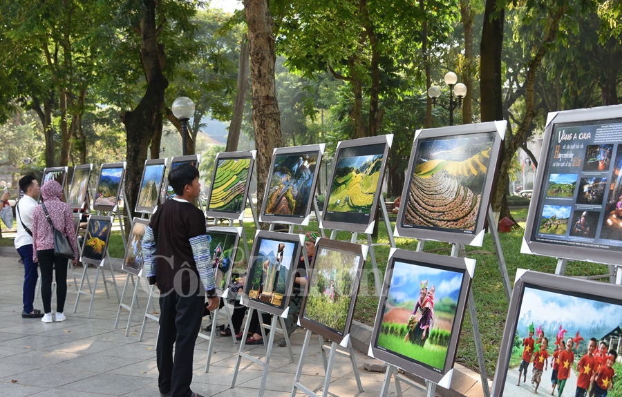 sac mau van hoa dan toc mong tai ha noi