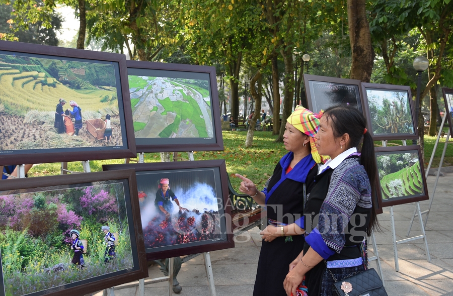 sac mau van hoa dan toc mong tai ha noi