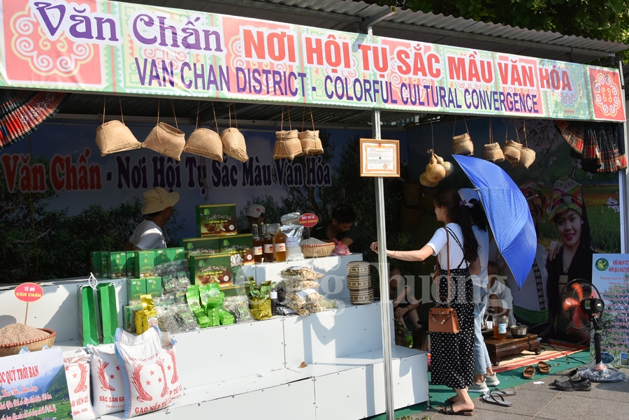 sac mau van hoa dan toc mong tai ha noi