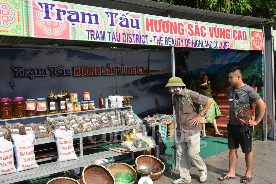 sac mau van hoa dan toc mong tai ha noi