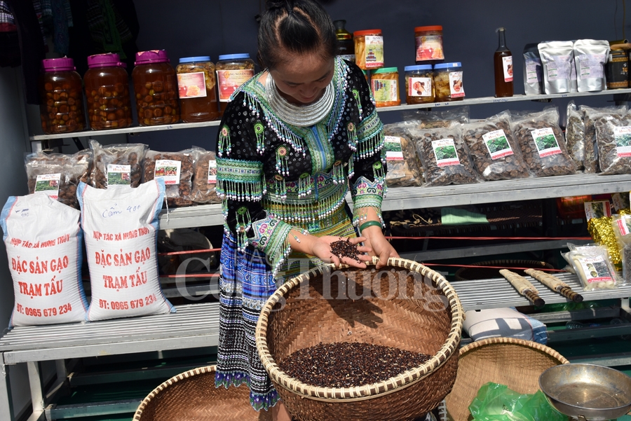 sac mau van hoa dan toc mong tai ha noi