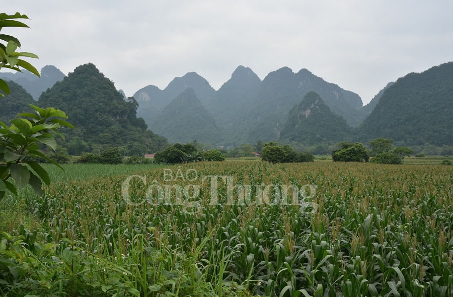 cao bang ket noi giao thong phat trien kinh te cua khau va du lich