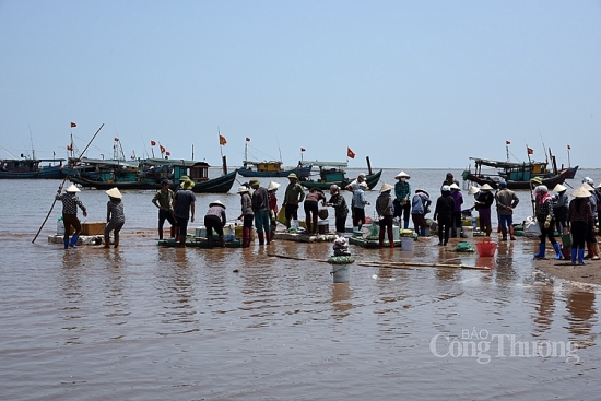 Nhộn nhịp chợ cá Giao Hải