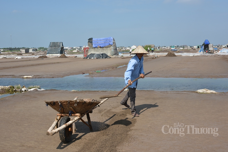 Một ngày cùng diêm dân trên cánh đồng muối Bạch Long