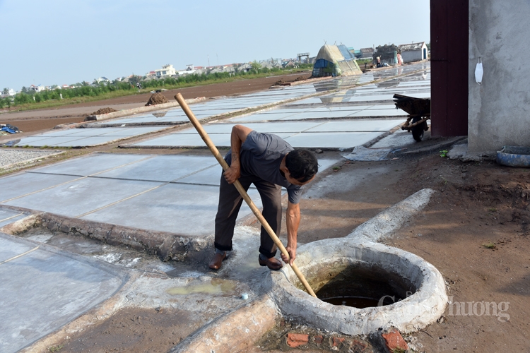 Một ngày cùng diêm dân trên cánh đồng muối Bạch Long Một ngày cùng diêm dân trên cánh đồng muối Bạch Long