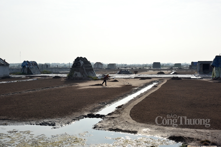 Một ngày cùng diêm dân trên cánh đồng muối Bạch Long