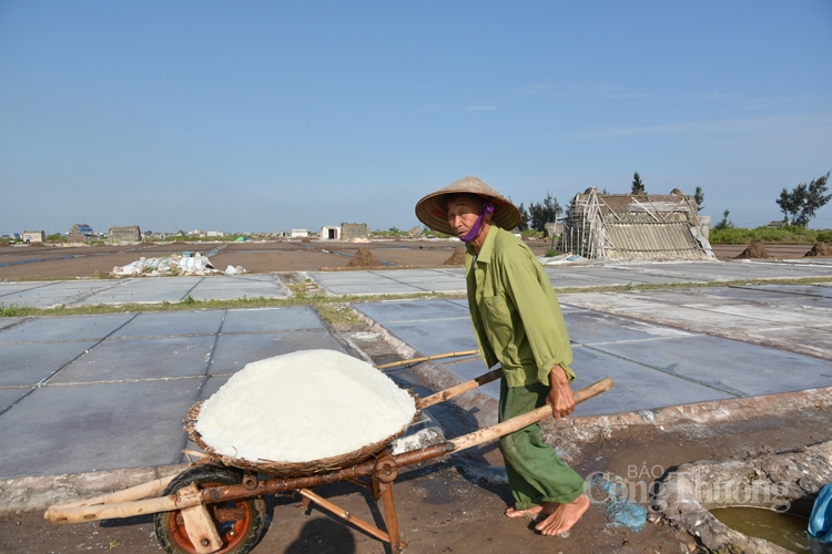 Một ngày cùng diêm dân trên cánh đồng muối Bạch Long