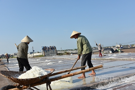 Một ngày cùng diêm dân trên cánh đồng muối Bạch Long