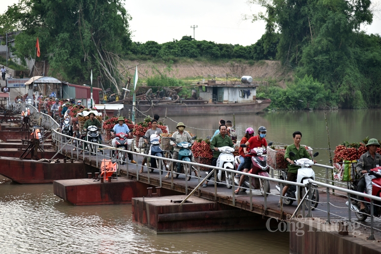 soi dong cho vai thieu dai nhat viet nam