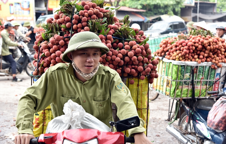 soi dong cho vai thieu dai nhat viet nam