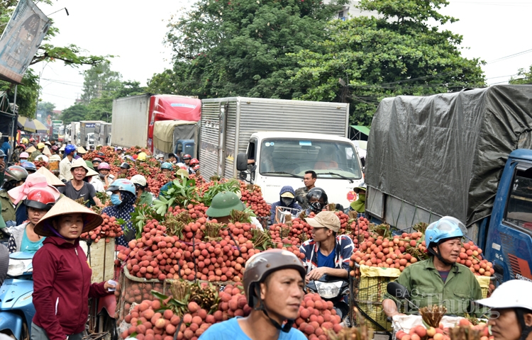 soi dong cho vai thieu dai nhat viet nam