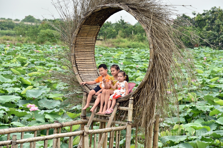 Khám phá Trung tâm bảo tồn trên 100 loài sen quí hiếm