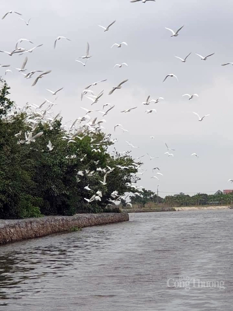 Chiêm ngưỡng đảo Cò Chi Lăng Nam Hải Dương