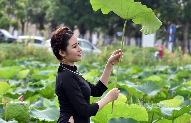 Sôi động dịch vụ chụp ảnh cùng sen Hồ Tây