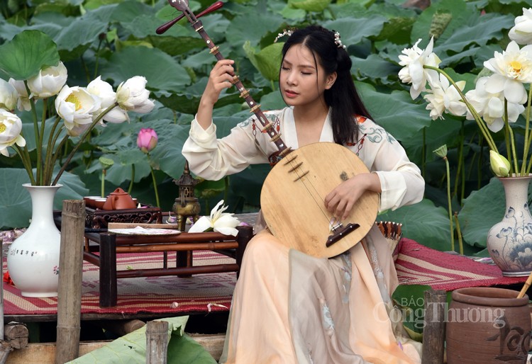 Sôi động dịch vụ chụp ảnh cùng sen Hồ Tây Sôi động dịch vụ chụp ảnh cùng sen Hồ Tây