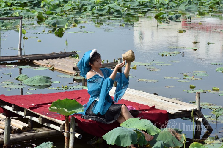 Sôi động dịch vụ chụp ảnh cùng sen Hồ Tây Sôi động dịch vụ chụp ảnh cùng sen Hồ Tây