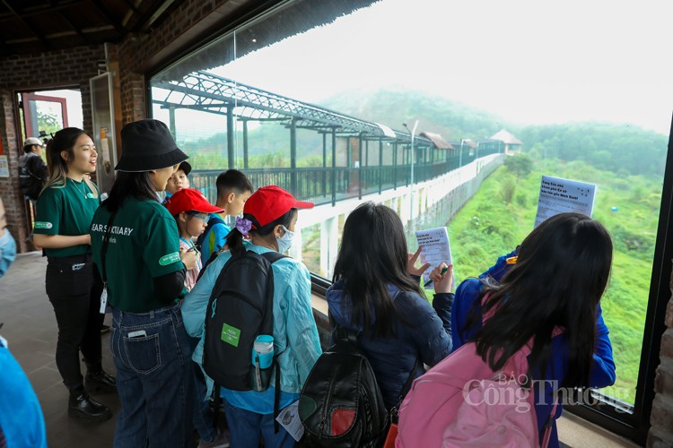 Cơ sở bảo tồn gấu Ninh Bình: Đưa gấu về môi trường bán hoang dã