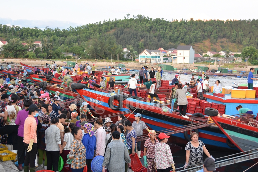 nhon nhip ben ca nghi thuy cua lo