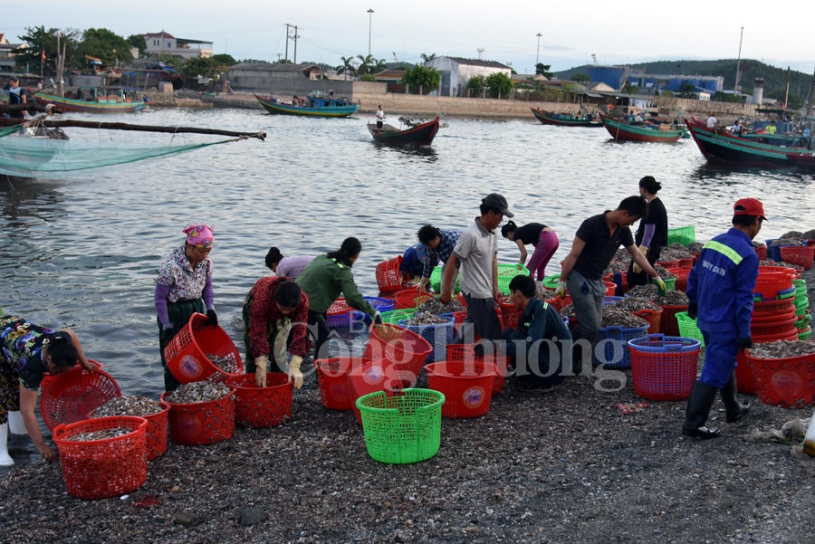 nhon nhip ben ca nghi thuy cua lo