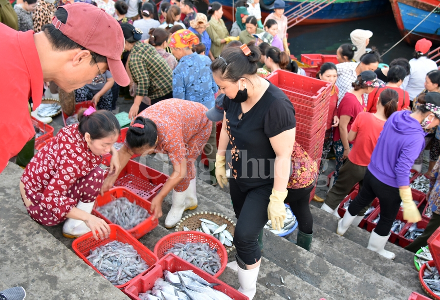 nhon nhip ben ca nghi thuy cua lo