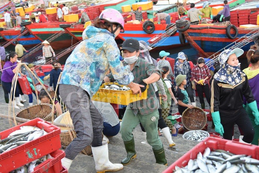 nhon nhip ben ca nghi thuy cua lo