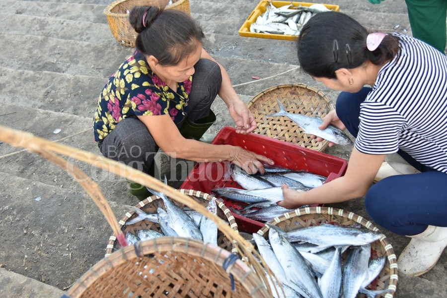 nhon nhip ben ca nghi thuy cua lo