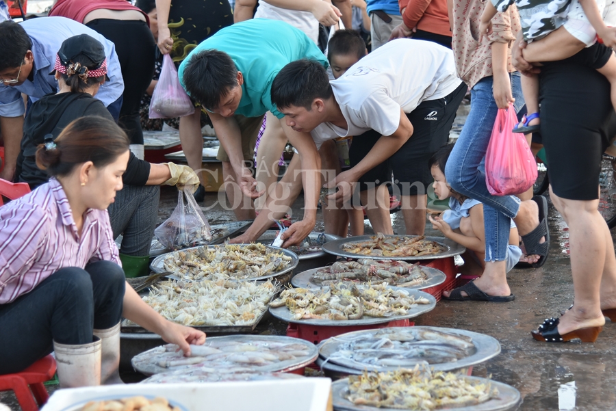 nhon nhip ben ca nghi thuy cua lo