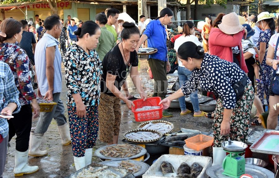 nhon nhip ben ca nghi thuy cua lo