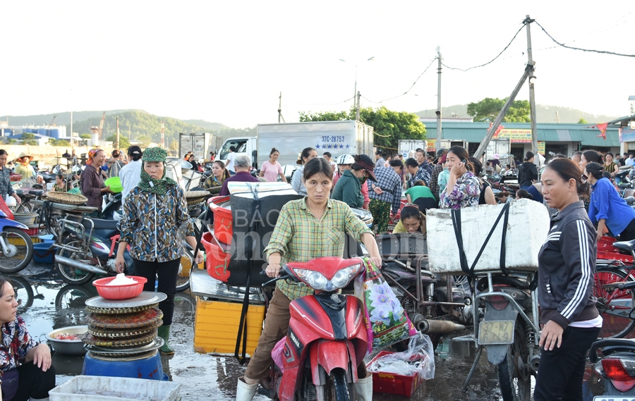 nhon nhip ben ca nghi thuy cua lo