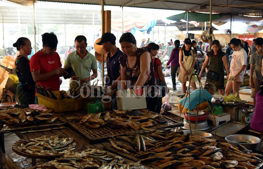 nhon nhip ben ca nghi thuy cua lo