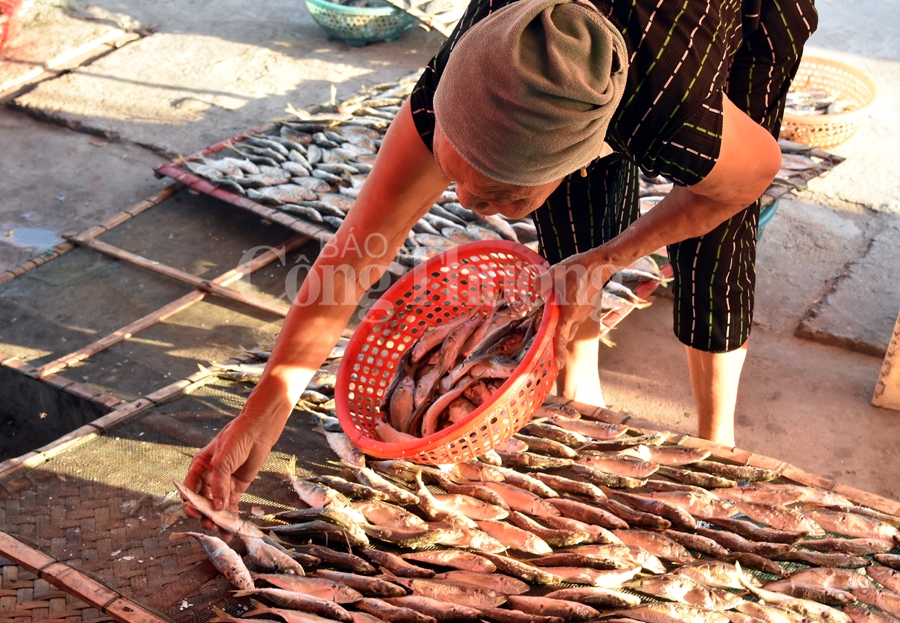 nhon nhip ben ca nghi thuy cua lo