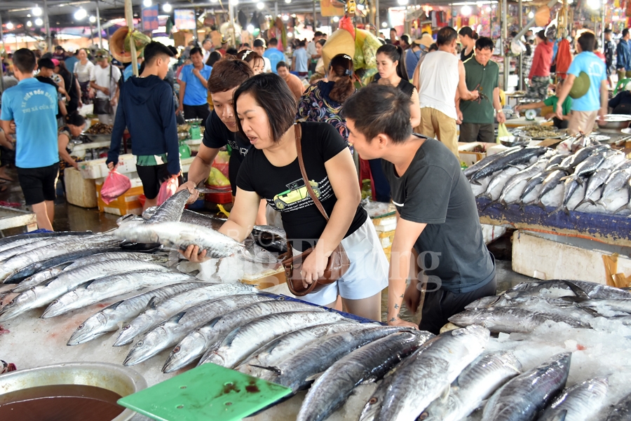 hap dan nghe nuong ca o bien cua lo