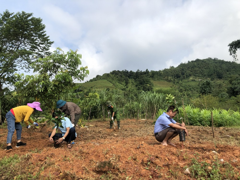 Hàng ngàn hộ nghèo ở Hà Giang đầu tư tập trung cải tạo vườn tạp từ các khoản vay tín dụng chính sách