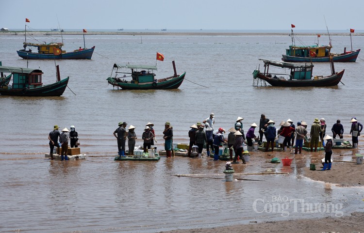 Ngư dân huyện Giao Thủy phấn khởi vì được mùa cá khoai Ngư dân huyện Giao Thủy phấn khởi vì được mùa cá khoai