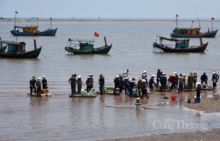 Ngư dân huyện Giao Thủy phấn khởi vì được mùa cá khoai