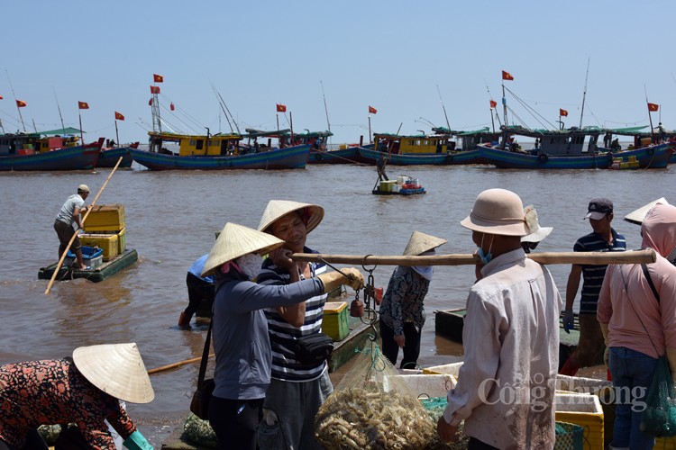Ngư dân huyện Giao Thủy phấn khởi vì được mùa cá khoai Ngư dân huyện Giao Thủy phấn khởi vì được mùa cá khoai