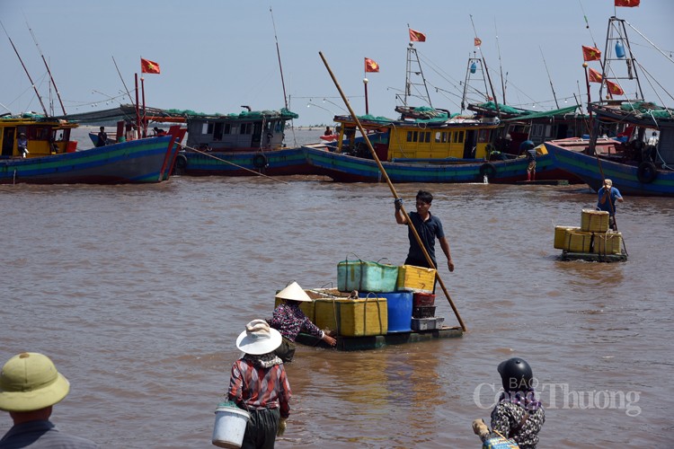 Ngư dân huyện Giao Thủy phấn khởi vì được mùa cá khoai