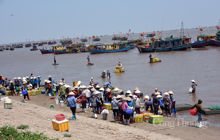 Ngư dân huyện Giao Thủy phấn khởi vì được mùa cá khoai