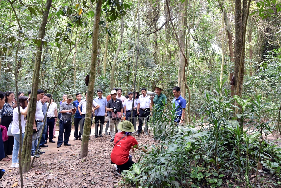 an tuong dia dao trong long dat thep cu chi