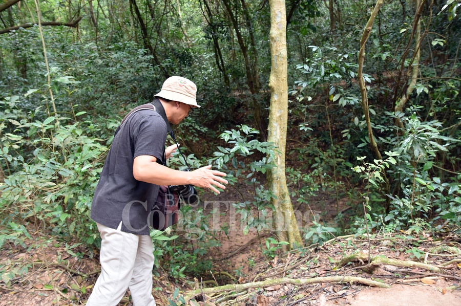 an tuong dia dao trong long dat thep cu chi