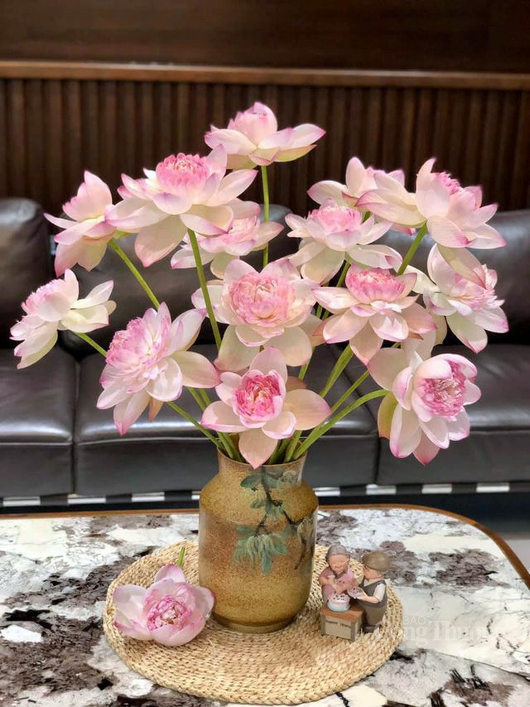 Độc, lạ hoa sen super lotus Độc, lạ hoa sen super lotus