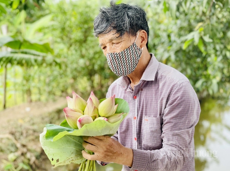 Độc, lạ hoa sen super lotus