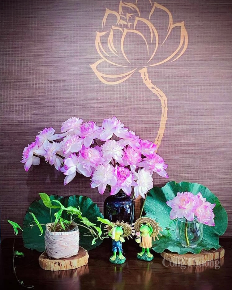 Độc, lạ hoa sen super lotus Độc, lạ hoa sen super lotus