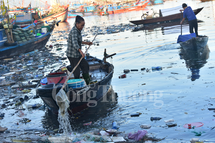 Nhức nhối ô nhiễm môi trường cảng cá Thọ Quang