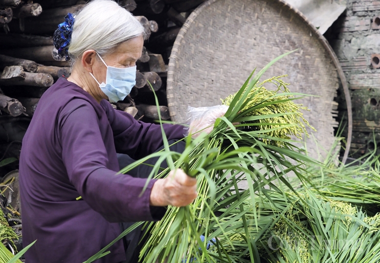 Làng cốm Mễ Trì sôi động trở lại sau giãn cách Làng cốm Mễ Trì sôi động trở lại sau giãn cách